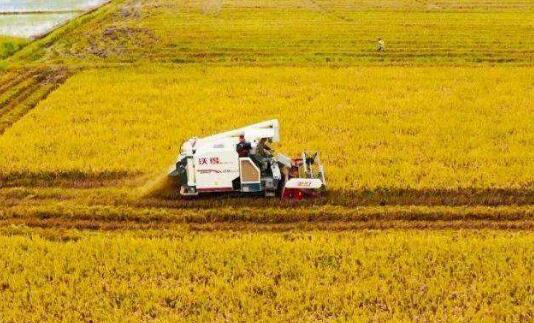 江西省農業去年交出亮眼成績單 糧食總產438.5億斤
