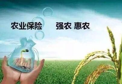 財政部有關負責人就修訂出臺《中央財政農業保險保費補貼管理辦法》答記者問