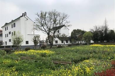 耕讀教育實踐基地落戶長三角“田園五鎮”