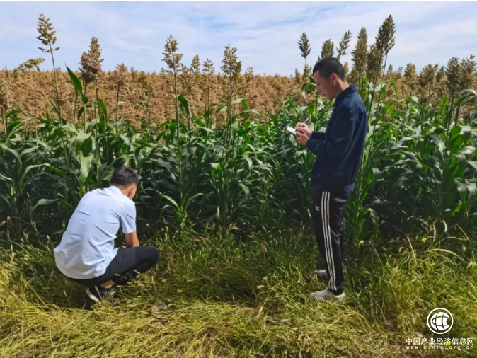  中華保險口碑好不好 因地制宜積極創新