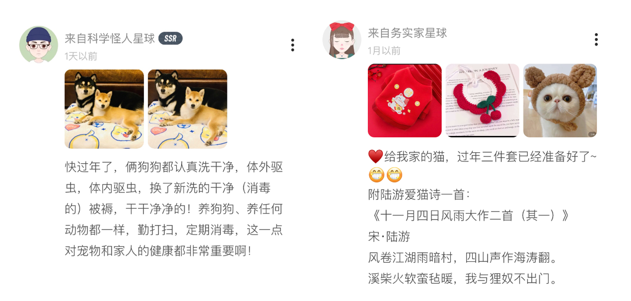 貓貓狗狗如何過大年？報告：超半數90后“鏟屎官”愿帶寵物一起回老家過年