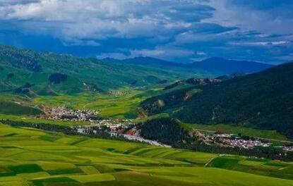 青海省首次編制鄉村產業發展規劃