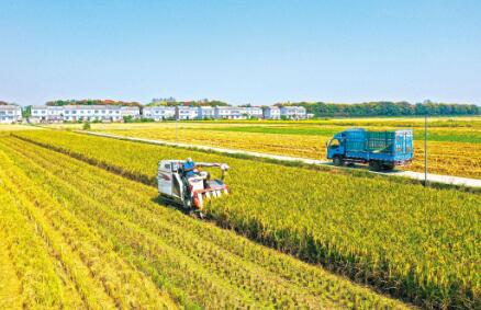 湖北：從農業大省邁向農業強省