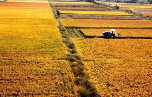 2022年中央一號文件發布（全文）