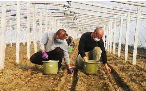農業農村部：今年春夏播作物生產用種有保障