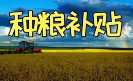 200億元！一次性補貼給實際種糧農民！