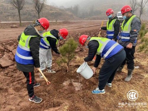  山西省董榆線項目開展春風十里，正“植”有我活動