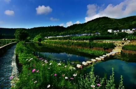 湖北推動生態環境損害賠償改革 賠償額30萬元以下可走簡易程序