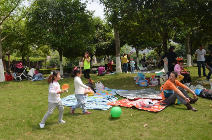 春游帶火“花經濟” 涌現更多新玩法