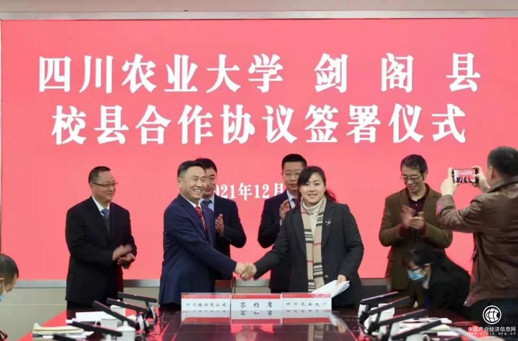  德潤通：攜手四川農大，共創高質量科技之路