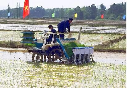 農業農村部部署南方水稻機械化種植推進工作