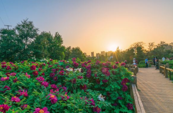 用數字化技術挖掘博物館潛力