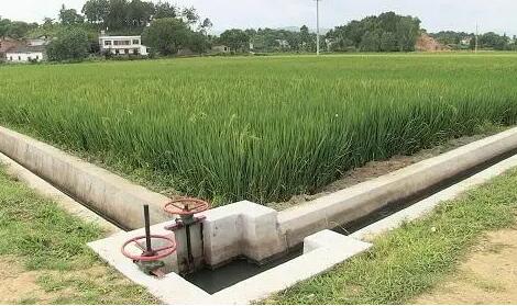 水利部、財政部、國家鄉村振興局支持補齊農村供水基礎設施短板