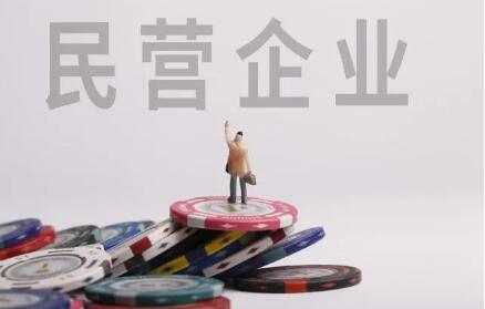 四川推進民營企業雁陣培育計劃促進經濟發展