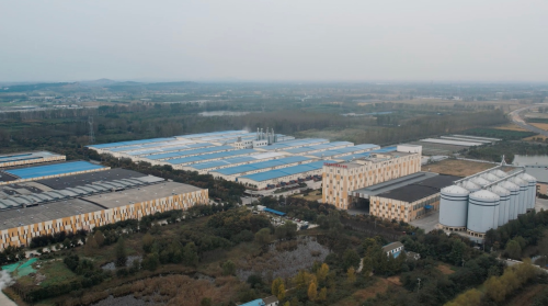 維維股份火速馳援睢寧，助力抗疫保供攻堅戰