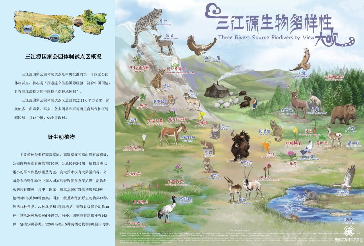  成實外繁懋教育多校公益聯動，為可可西里建一所藏羚羊“幼兒園”
