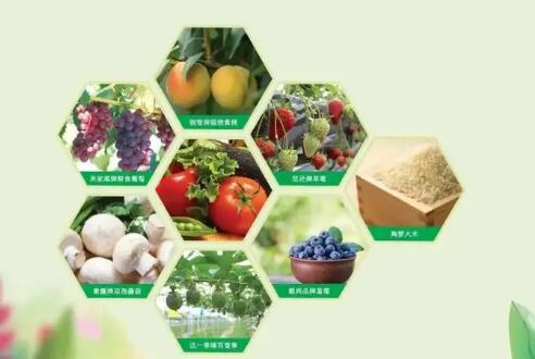 廣西：推動綠色食品產業高質量發展