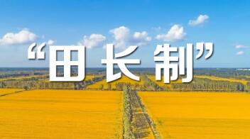 廣西：五級田長制保障糧食生產
