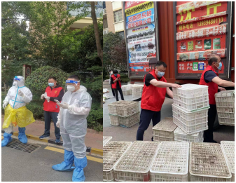  鹿邑縣煙草專賣局：黨員在社區“疫”線詮釋初心使命