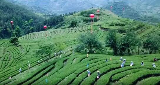 我國全球重要農業文化遺產增至18項數量居世界首位