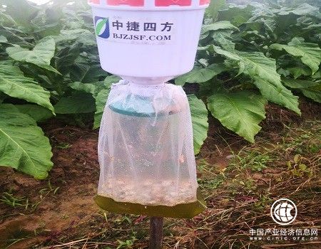  湖南安仁：多路奇兵滅蟲害 農藥減量不減效