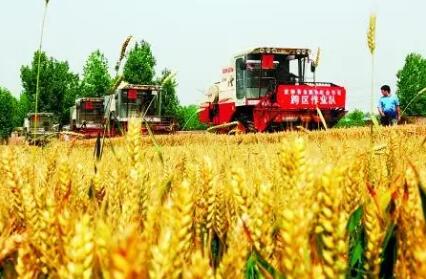 全國供銷合作社系統創新服務“三夏”生產
