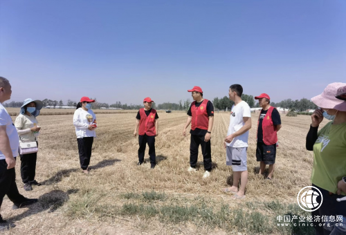 商丘市梁園區煙草局：服務三夏豐收季  暖暖“志愿”見真情