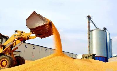 農業農村部：加快提升糧食烘干能力 重點推進糧食減損綠色烘干工作