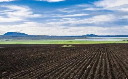 保護黑土地就是保護每個人的飯碗