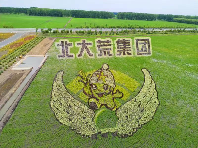 20220705105903147.png 20220705105903147.png