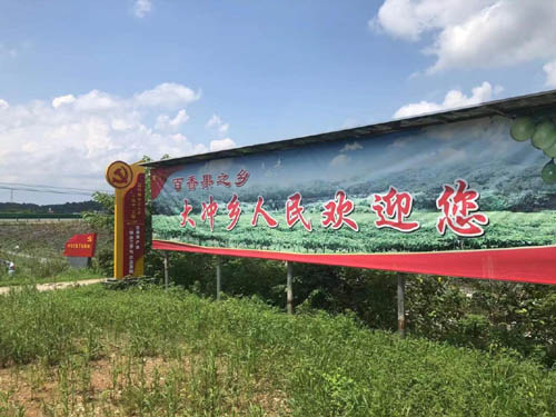 江西吉安大沖鄉打造“百香果”特色產業 帶動種植戶增收致富