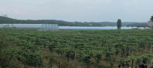 20220714155400734.jpg 21.jpg