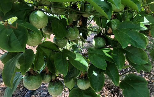 20220714155414261.jpg 31.jpg