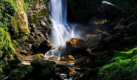 解鎖云南“長壽之鄉”的“生態密碼”