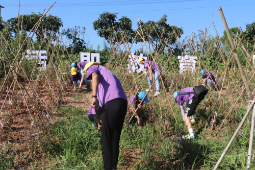 重慶化工職業學院·青春三下鄉——星火燃燒，化漫漫征途為青春行歌