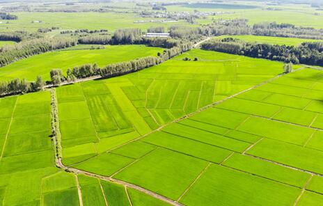 農業農村經濟持續向好 助力穩物價保民生