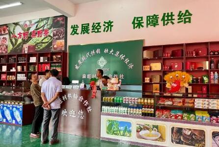 全國供銷合作社系統上半年銷售總額29417.1億元