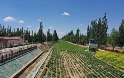 寧夏：深入推進鄉村建設行動 部署14項重點任務