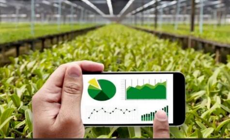 國家種業陣型企業名單公布——加快打造種業振興骨干力量