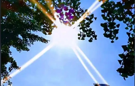 中國氣象局：冰川在消融植物發芽提早 我國氣溫呈顯著上升