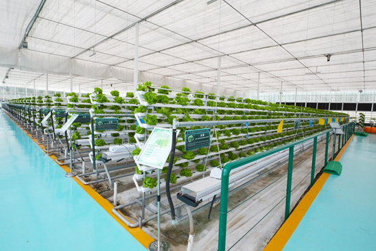 20220810184609374.png image.png