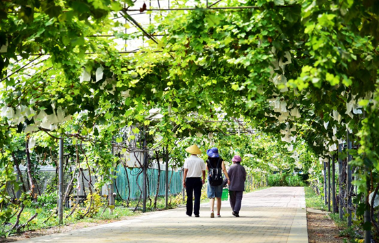 20220810184632539.png image.png