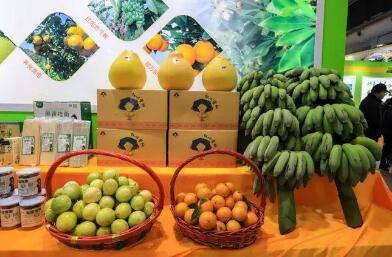 廣西加快農產品流通體系建設 解決銷售堵點、難點問題