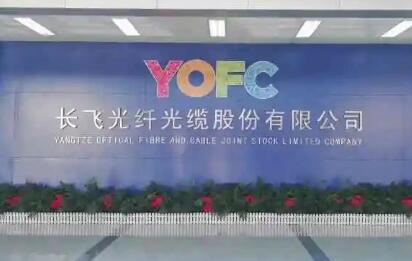 長飛：乘“數字”之勢，以光點亮數字化美好生活新未來