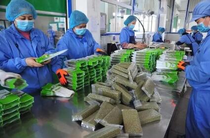黑龍江牡丹江： 綠色食品產業轉型升級之路越走越寬