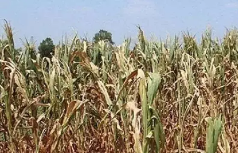 今年以來我國洪旱災害呈現四方面特點