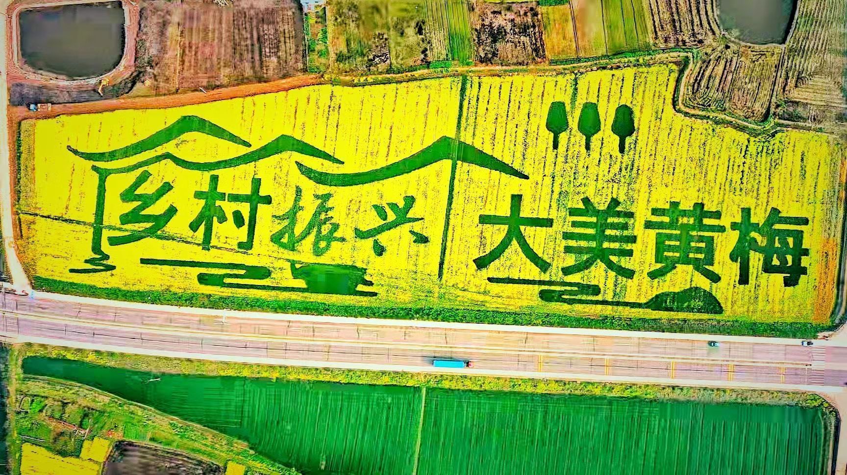 農文旅融合助推鄉村振興的“黃梅樣本”