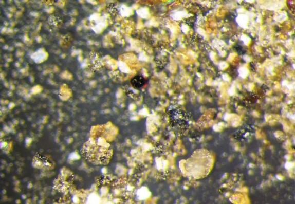 20220917152717967.jpg 20220917152717967.jpg