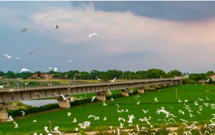 安徽生態環境質量持續改善 多項指標達有監測記錄以來最好水平