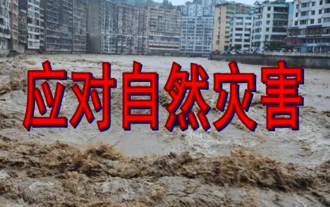 金磚國家就攜手應對災害挑戰達成七方面共識